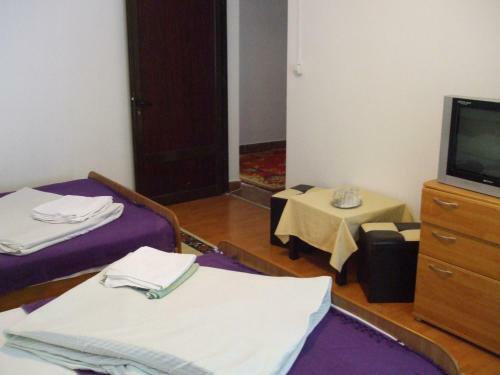 Hostal Pensiunea Soimul