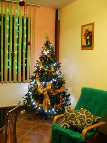 Hostal Pensiunea Soimul