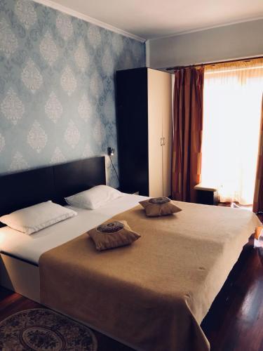 Hostal Pinul Negru