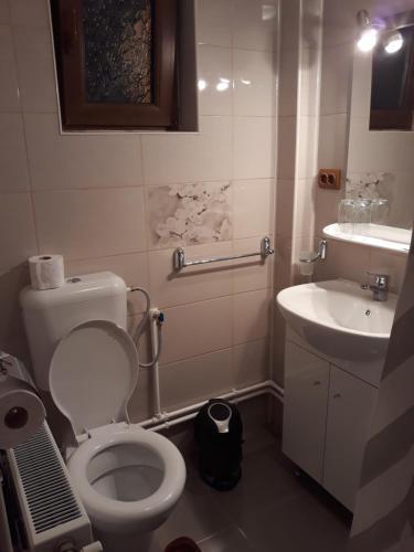 Hostal Pensiunea Angelica