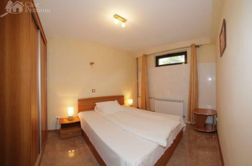 Hostal Pension Camelia