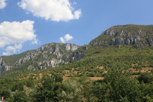Hostal Pensiune Safrane