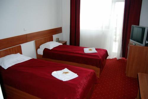 Hostal Pensiunea Axon
