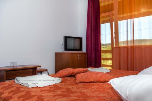 Hostal Pensiunea Axon