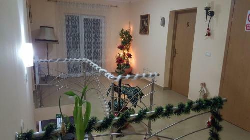 Hostal Family Pension