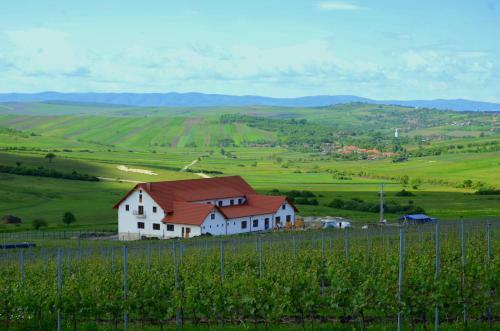 Hostal Pensiunea Kemsilvanum