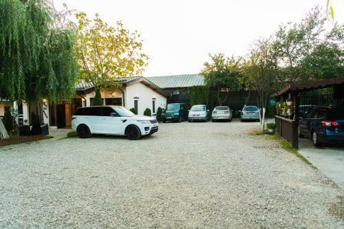 Hostal Pensiunea Puiu