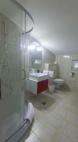 Hostal Casuta Didi