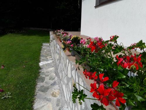 Hostal Casuta Didi