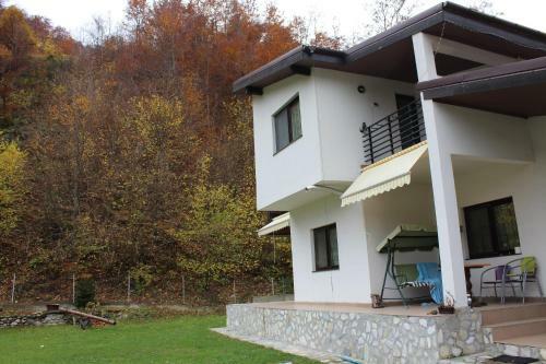Hostal Casuta Didi
