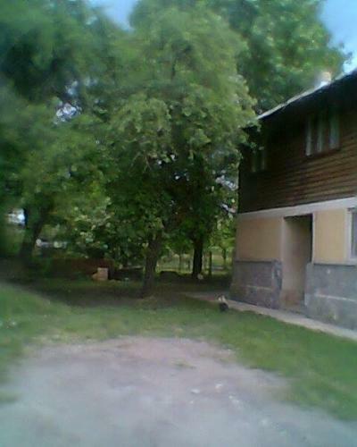Hostal Vila Elena Si Ionut