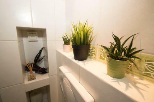 Apartamento Celinesuites- Dorobanti