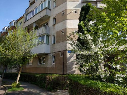 Apartamento Kronstadt Studio