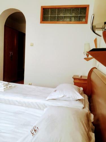Hostal Pensiunea Puiu Popa
