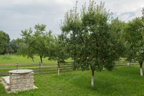 Agroturismo La Saliste