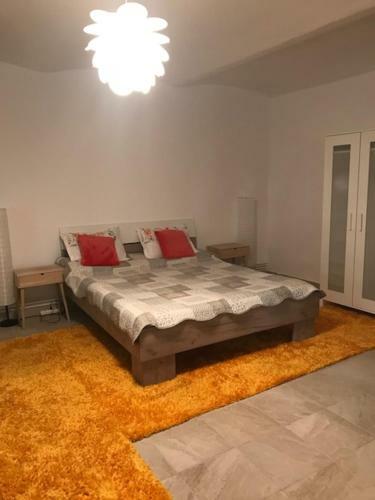 Apartament Nicoleta
