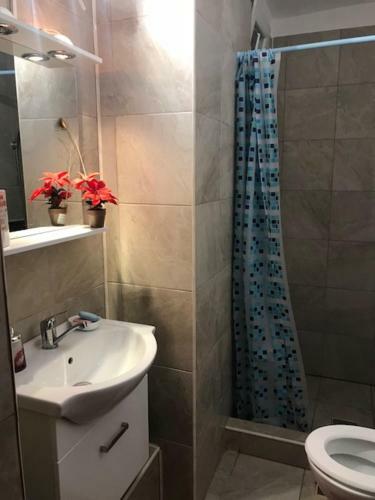 Apartament Nicoleta