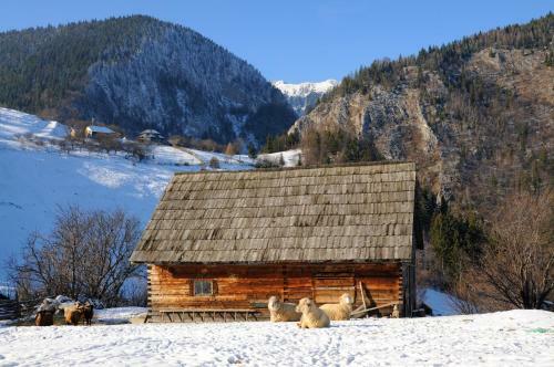 Bed & Breakfast Pension Nea Marin