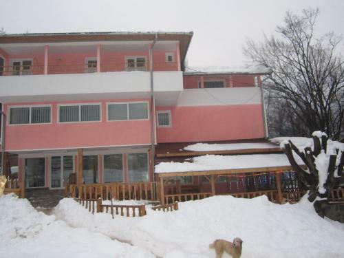 Hostal Complex Turistic Alessia