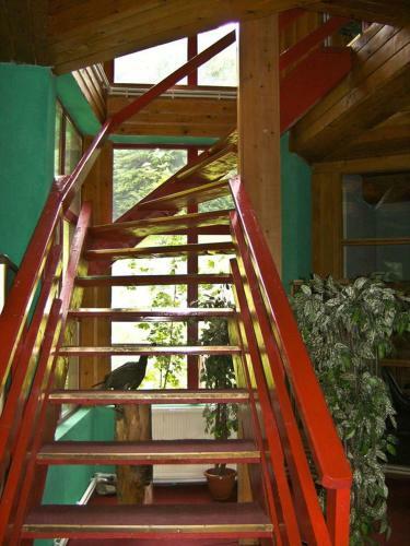 Hostal Barlogul Ursilor Lepsa