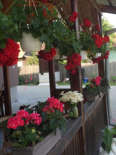 Hostal Becze Vanda Vendeghaz