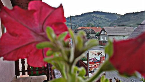 Bed & Breakfast Picnic Panzio