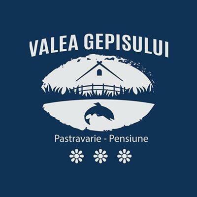 Hostal Pensiunea Valea Gepisului