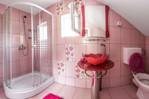Hostal Pensiunea Mihaela
