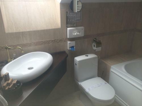 Hostal Conacul Benke