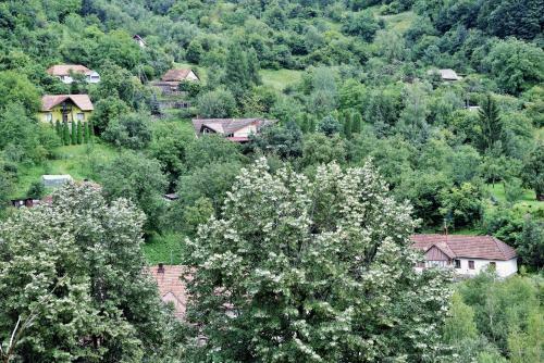 Villa Iosefina