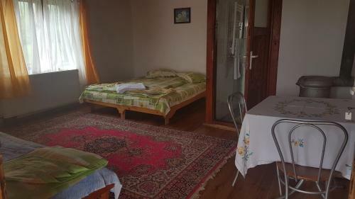 Agroturismo Pension Zamolxe
