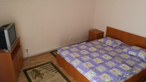 Hostal Pensiunea Adi Sapinta
