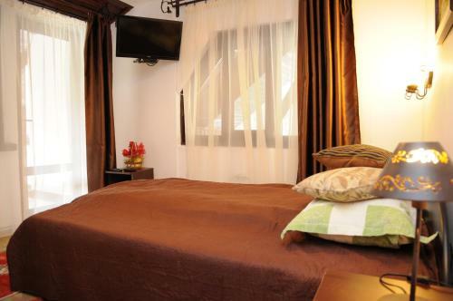 Hostal Pensiunea Dumbr?vi?a