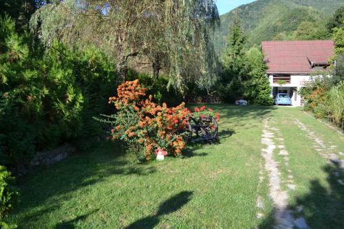 Hostal Pensiunea Dumbr?vi?a