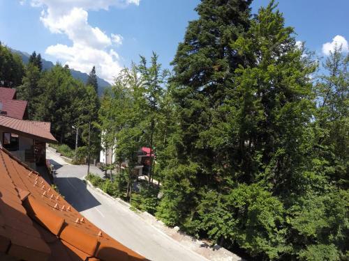 Hostal Alfinio Villa