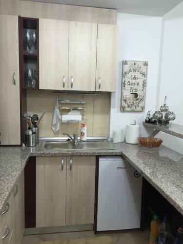 Apartment Hugo