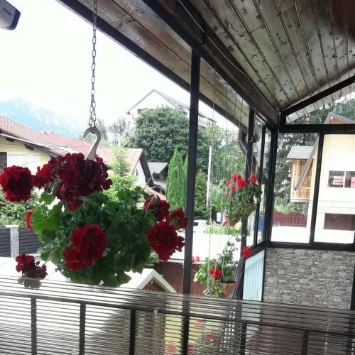 Hostal Vila Cu Flori