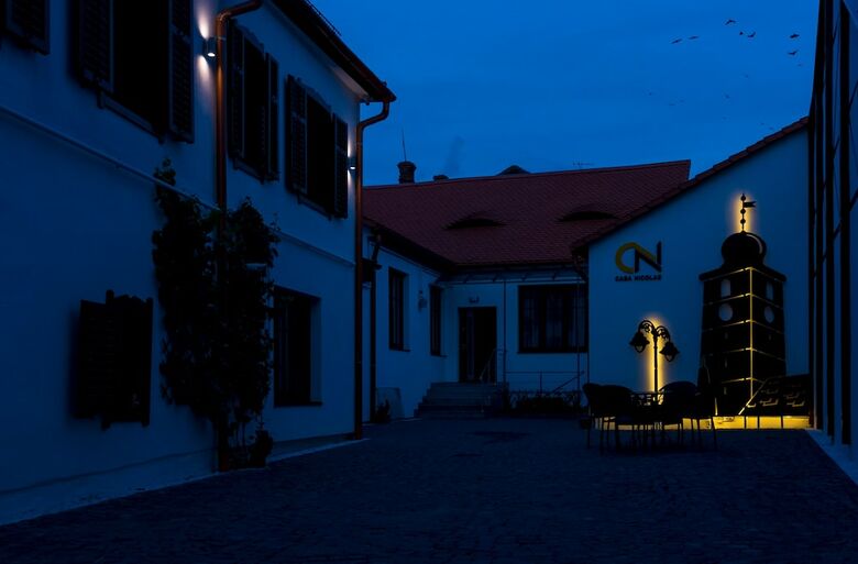 Aparthotel Casa Nicolae Luxury Suites
