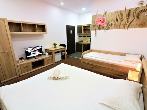 Apartamentos Flowers House Sibiu