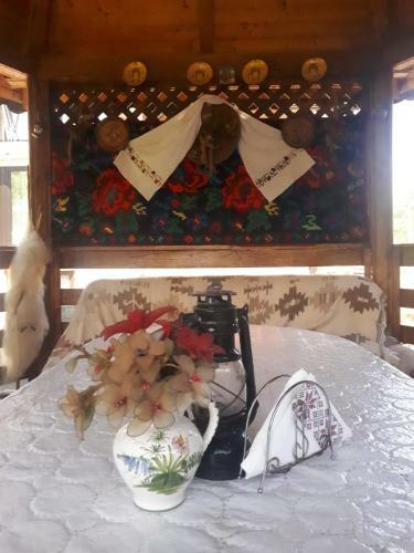 Hostal Pensiunea Casa Godja