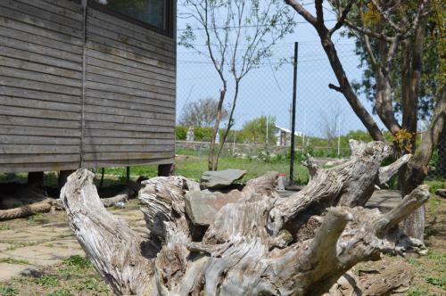 Hostal Vadu Cazare