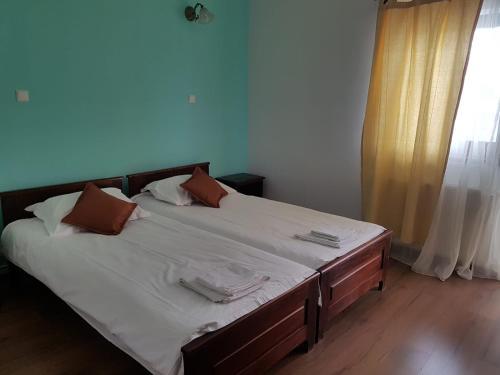 Hostal Pensiunea Rustic Ana