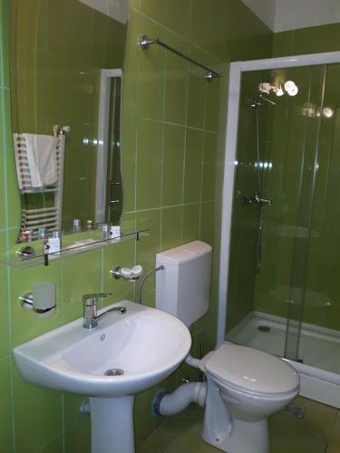 Hostal Pensiunea Rustic Ana