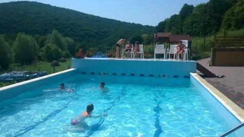 Hostal Pensiunea Mihaiu Sasului