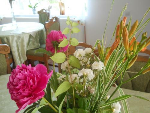 Hostal Pensiunea Poezii Alese