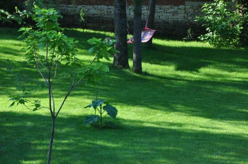 Hostal Guesthouse Djuric