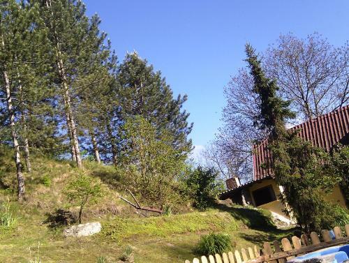 Hostal Guest House Lopatnica