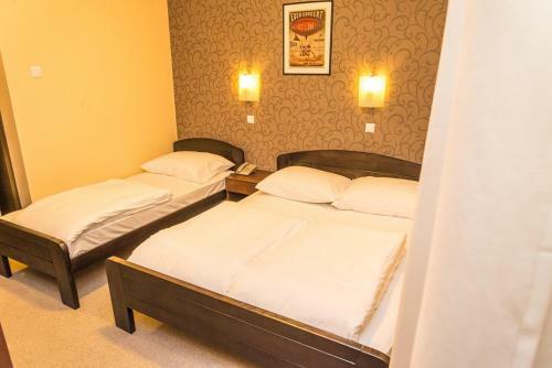 Hotel Drinska Lasta