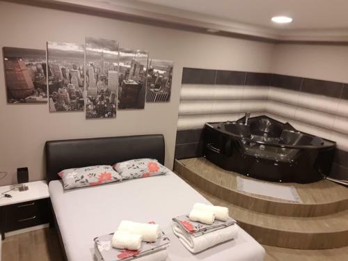 Ceca Apartman