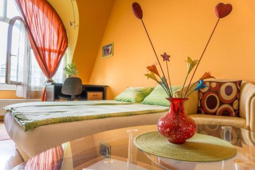 Apartamento Morena Studio